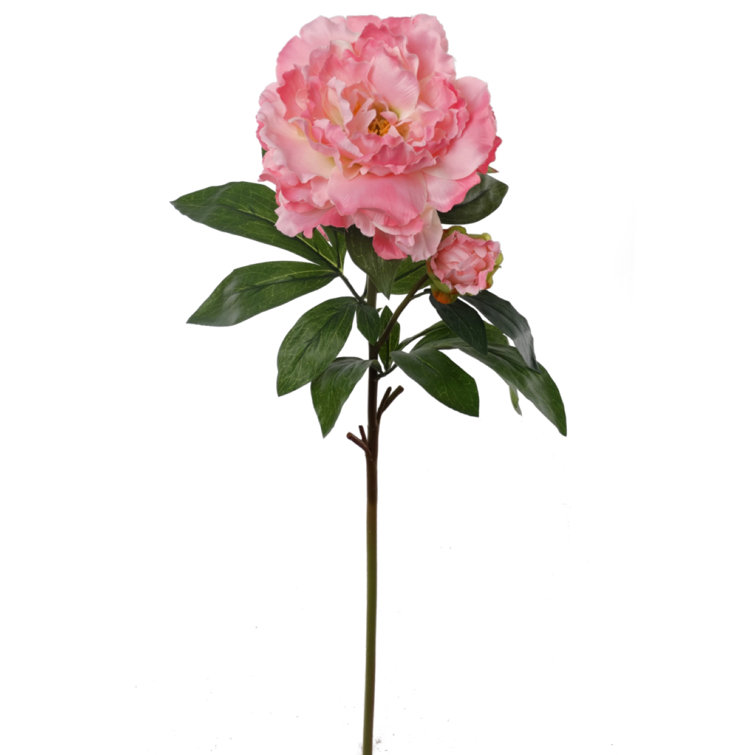Primrue Silk Peony Stems, Bushes, And Sprays Arrangement Wayfair